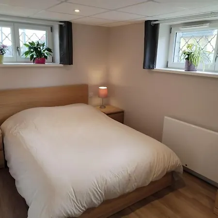 Le Petit Wintz 4 Personnes Avec Son Jardin Privatif - Parking Avec Borne De Recharge Pour Vehicule Electrique 22kw - 2 Velos Wintzenheim