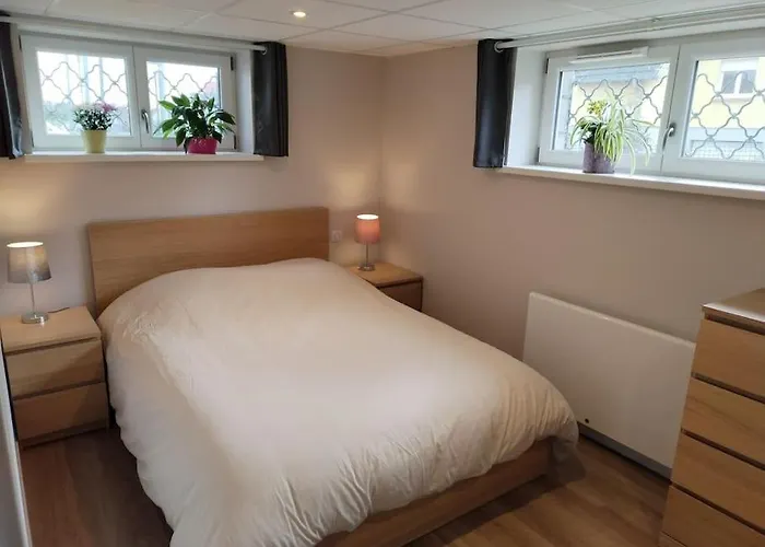 Le Petit Wintz 4 Personnes Avec Son Jardin Privatif - Parking Avec Borne De Recharge Pour Vehicule Electrique 22kw - 2 Velos Wintzenheim